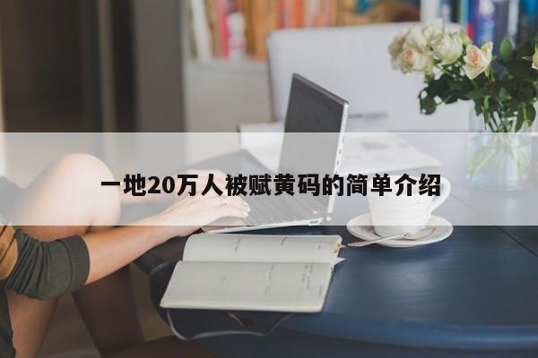 一地20万人被赋黄码的简单介绍