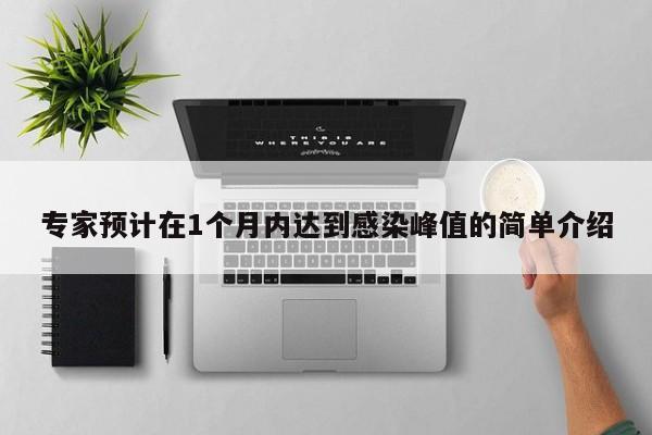 专家预计在1个月内达到感染峰值的简单介绍