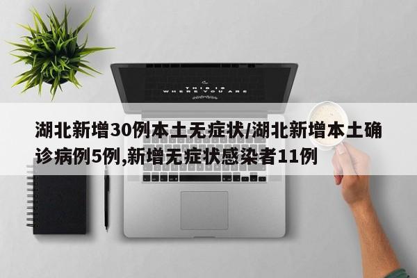 湖北新增30例本土无症状/湖北新增本土确诊病例5例,新增无症状感染者11例