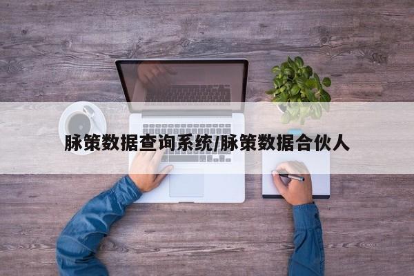 脉策数据查询系统/脉策数据合伙人
