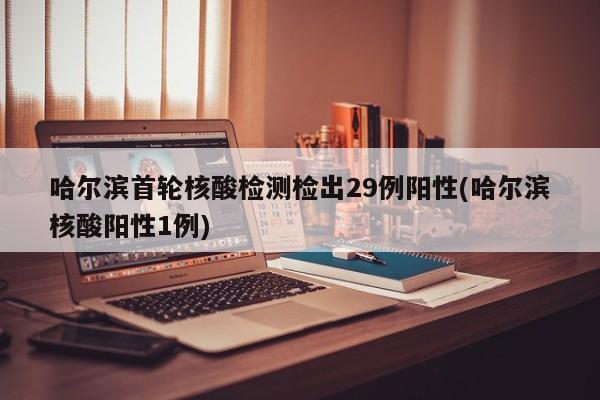哈尔滨首轮核酸检测检出29例阳性(哈尔滨核酸阳性1例)
