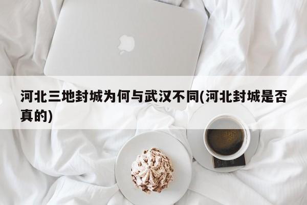 河北三地封城为何与武汉不同(河北封城是否真的)