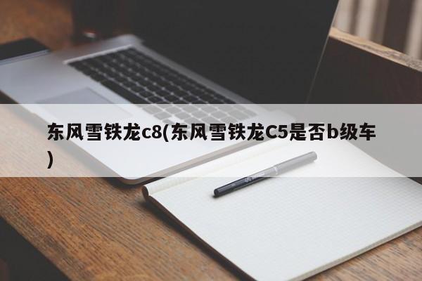 东风雪铁龙c8(东风雪铁龙C5是否b级车)